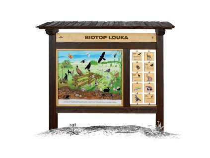 biotop m louka