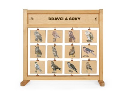 tabulky poznani stolni dravci a sovy