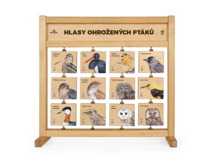 hlasy ohrozenych ptaku stolni