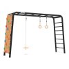 playbase large tl disc swingringsclimbing wall 22410300