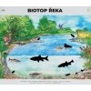 edukacni-panel-biotop-l-reka