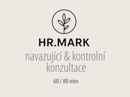 navazujici konzultace