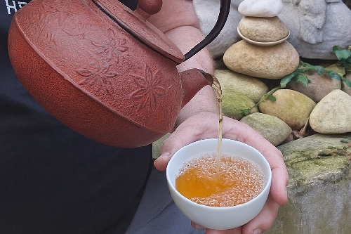 DARJEELING FIRST FLUSH 2025