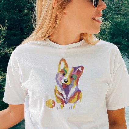 corgi štěně