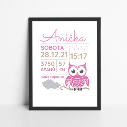 Obraz k narození miminka - Sovička (Varianta obrazu Modrá)