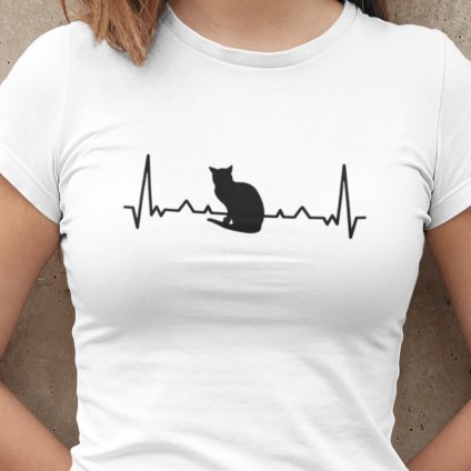 ekg cat