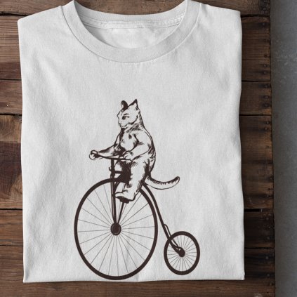 Kočka na vysokém kole