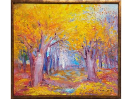 bukovy les 60x70