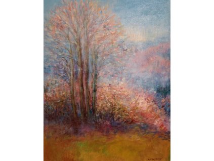 70x90cm, jen zlatý rám