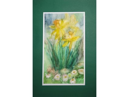 Narcis II  21x29