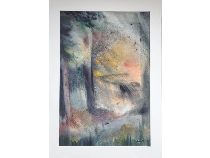 západ slunce v lese