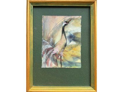 v tanci 11x8,5