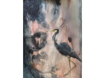 Černá volavka  90x65,5cm