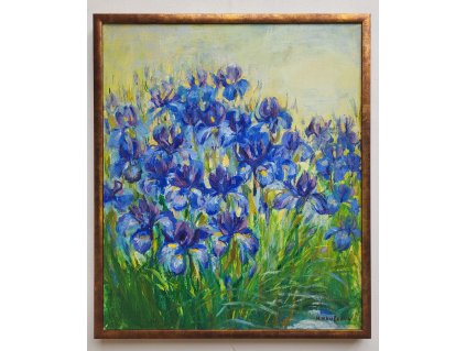 Kosatce II  60x70cm