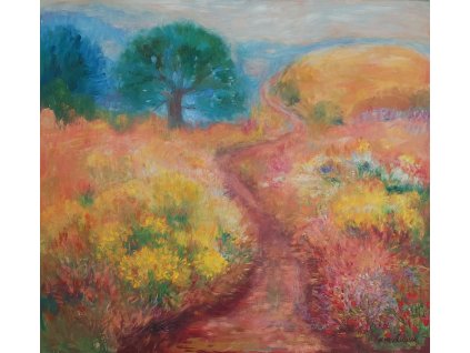 Cesta 100x110cm 40.000, Kč