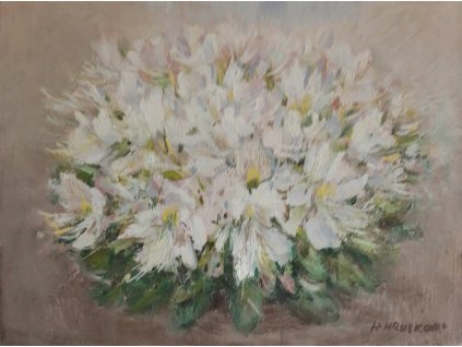 37 Rododendron 30X40 3.000 Kč