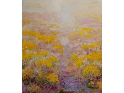 Louka s třezalkou 100x85cm 32.000, Kč