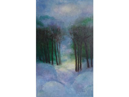 Slunce na sněhu 60x100cm 16.000, Kč