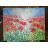 Makové pole  50x65