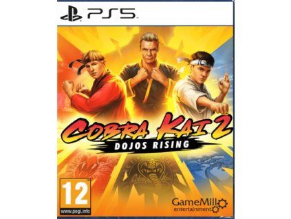 COBRA KAI 2 DOJOS RISING (PS5 BAZAR)