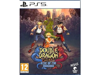 DOUBLE DRAGON GAIDEN RISE OF THE DRAGONS (PS5 BAZAR)