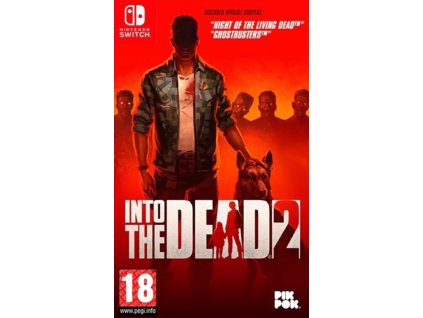 INTO THE DEAD 2 (SWITCH BAZAR)