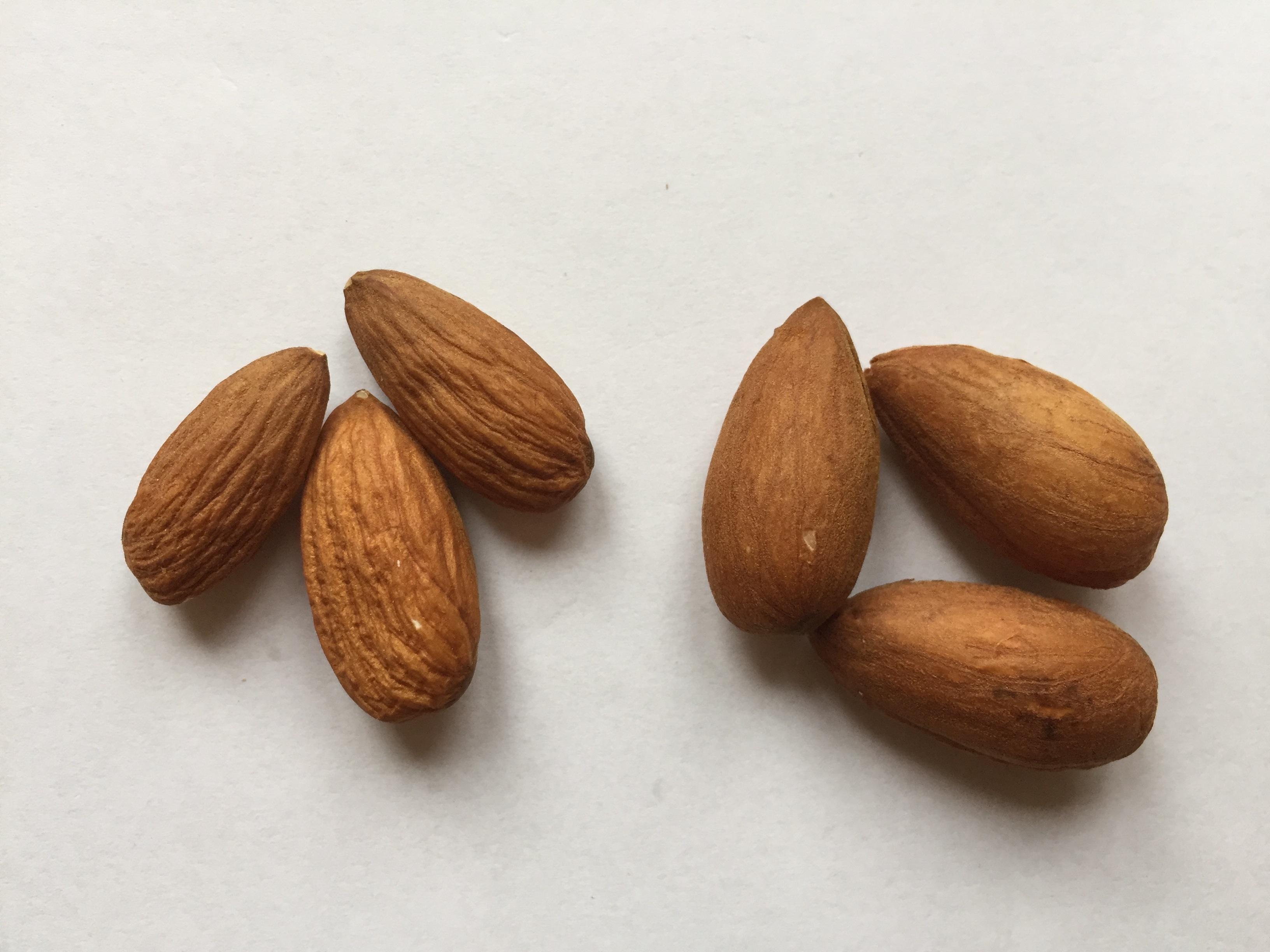 Čo je aktivácia surovín