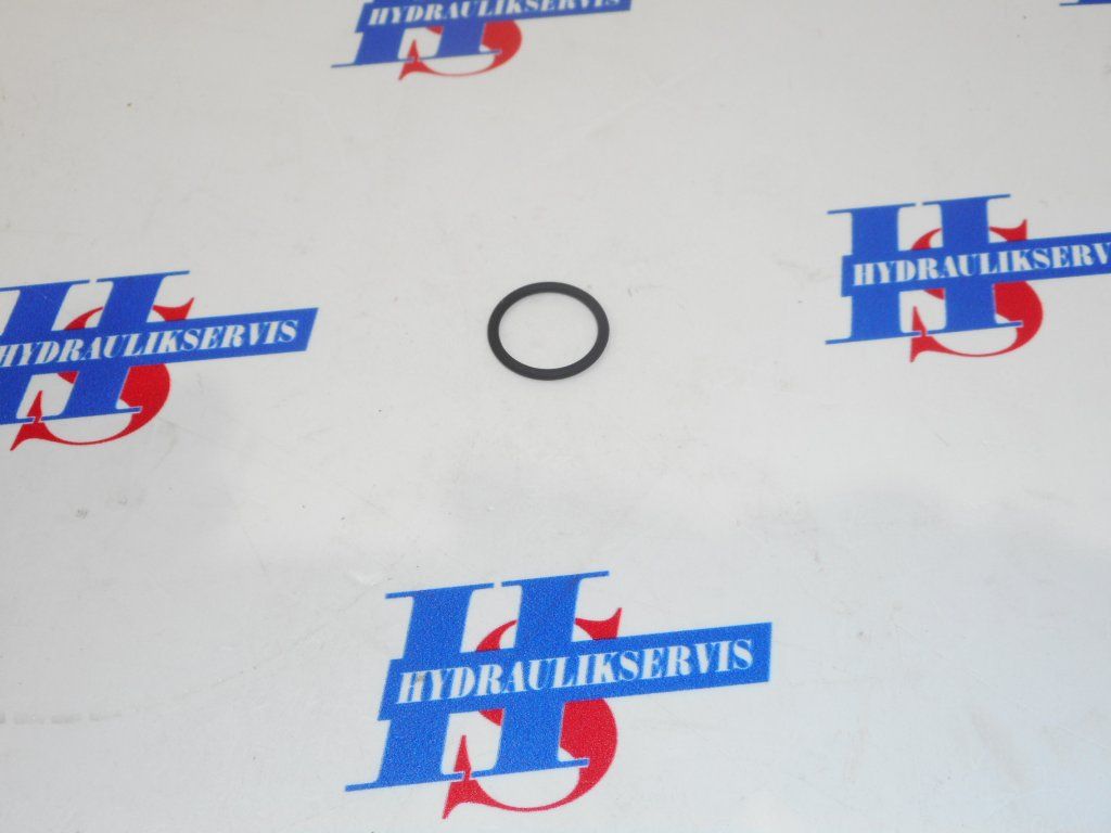 O-RING (Typ produktu Originál)