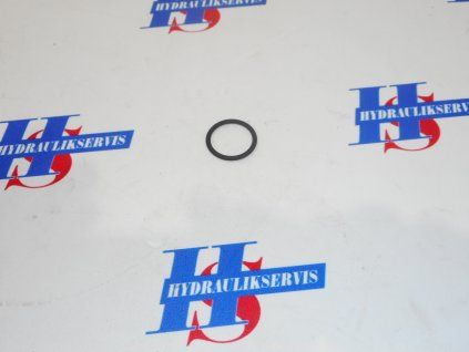 O-RING (Typ produktu Originál)
