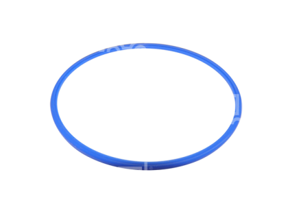 2989 sealing ring