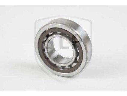 13171 1 water pump bearing