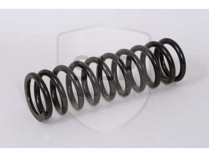 15445 1 cab coil spring