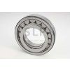 13165 1 bearing