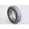 12976 1 bearing