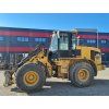 31285 1 cat 924 g
