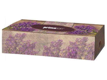 Kapesníčky v boxu , 2vr.,100ks/bal, celulóza