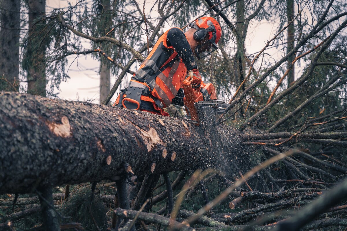 Motorová píla Husqvarna 585