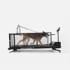Dog runner XL