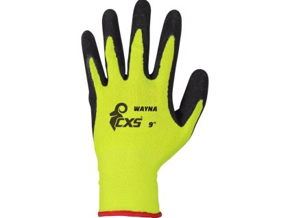 wayna 1