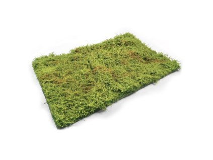 128845 1 wilderness fields with bushes spring do dioramy