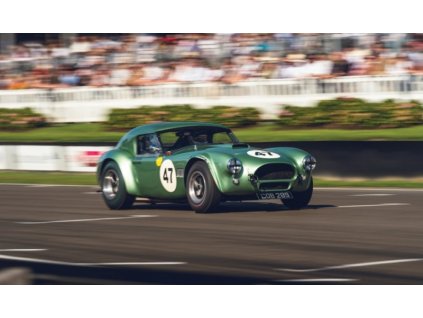 160960 1 shelby cobra 289 cob289 hd 49 1 32