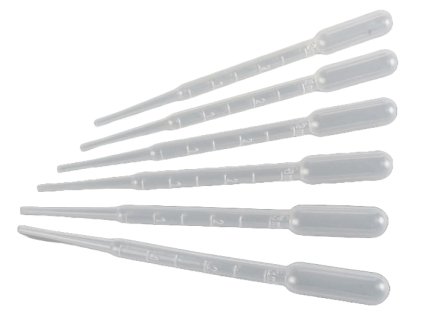 Adobe Express file (1)