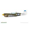 p 40n warhawk royal class dual combo 1 48 EDUARD R0025 012