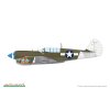p 40n warhawk royal class dual combo 1 48 EDUARD R0025 06