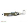 p 40n warhawk royal class dual combo 1 48 EDUARD R0025 04