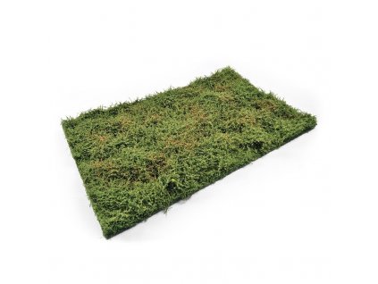 Wilderness Fields with bushes - early summer do diorámy