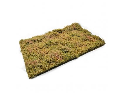 Wilderness Fields with bushes - Late summer