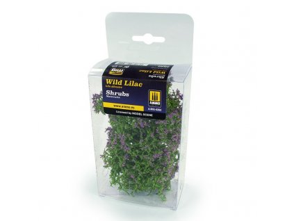 Shrubs - Wild Lilac