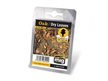 Oak Dry Leaves