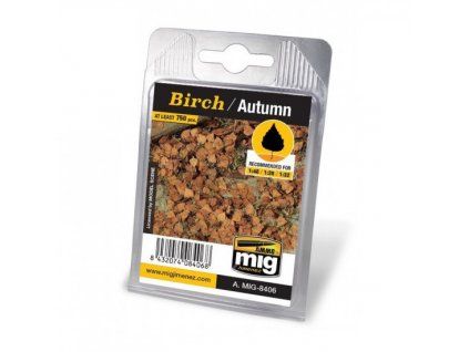 Birch Leaves - Autumn